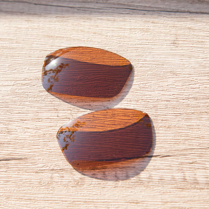 Brown Polarized