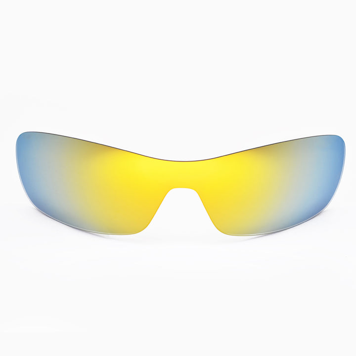 24K Gold Polarized
