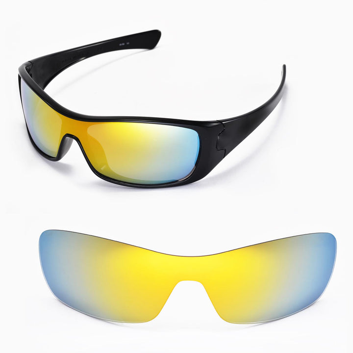 24K Gold Polarized