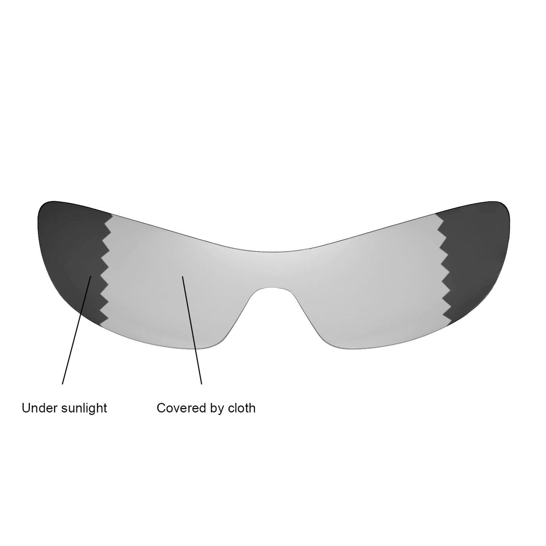 Transition Polarized