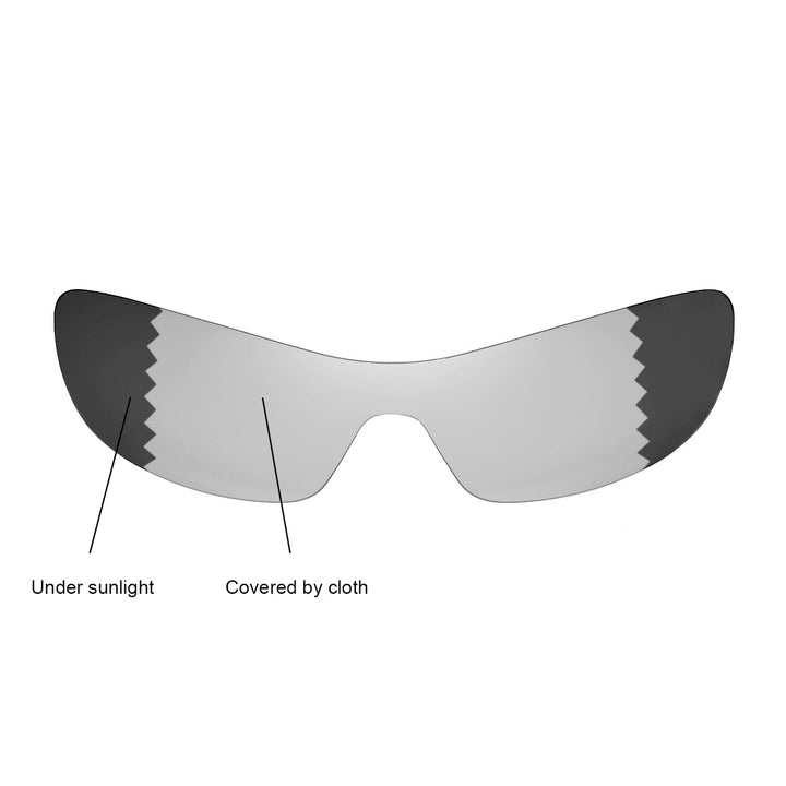 Transition Polarized