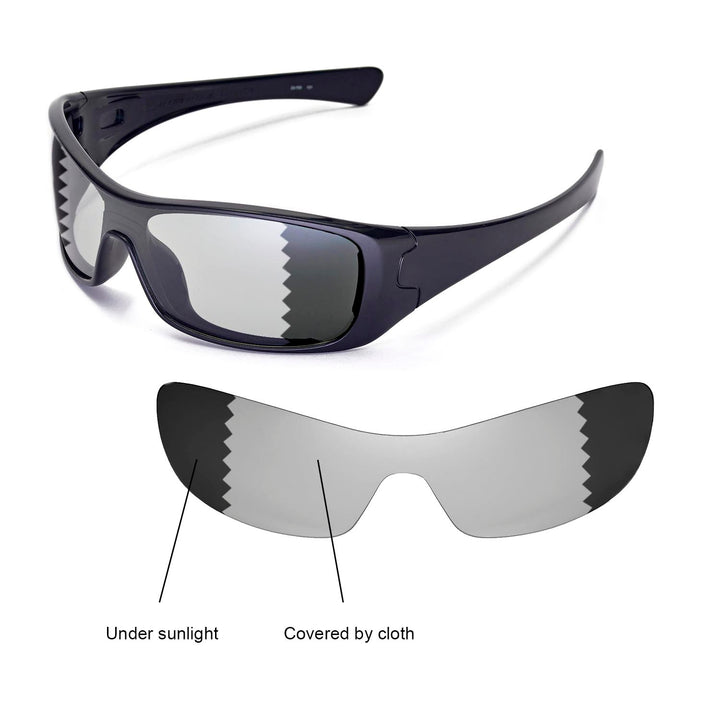 Transition Polarized