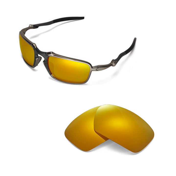 24K Gold Polarized