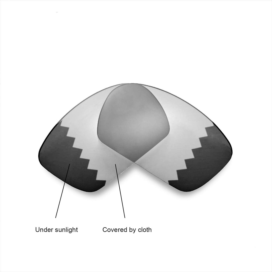 Transition Polarized