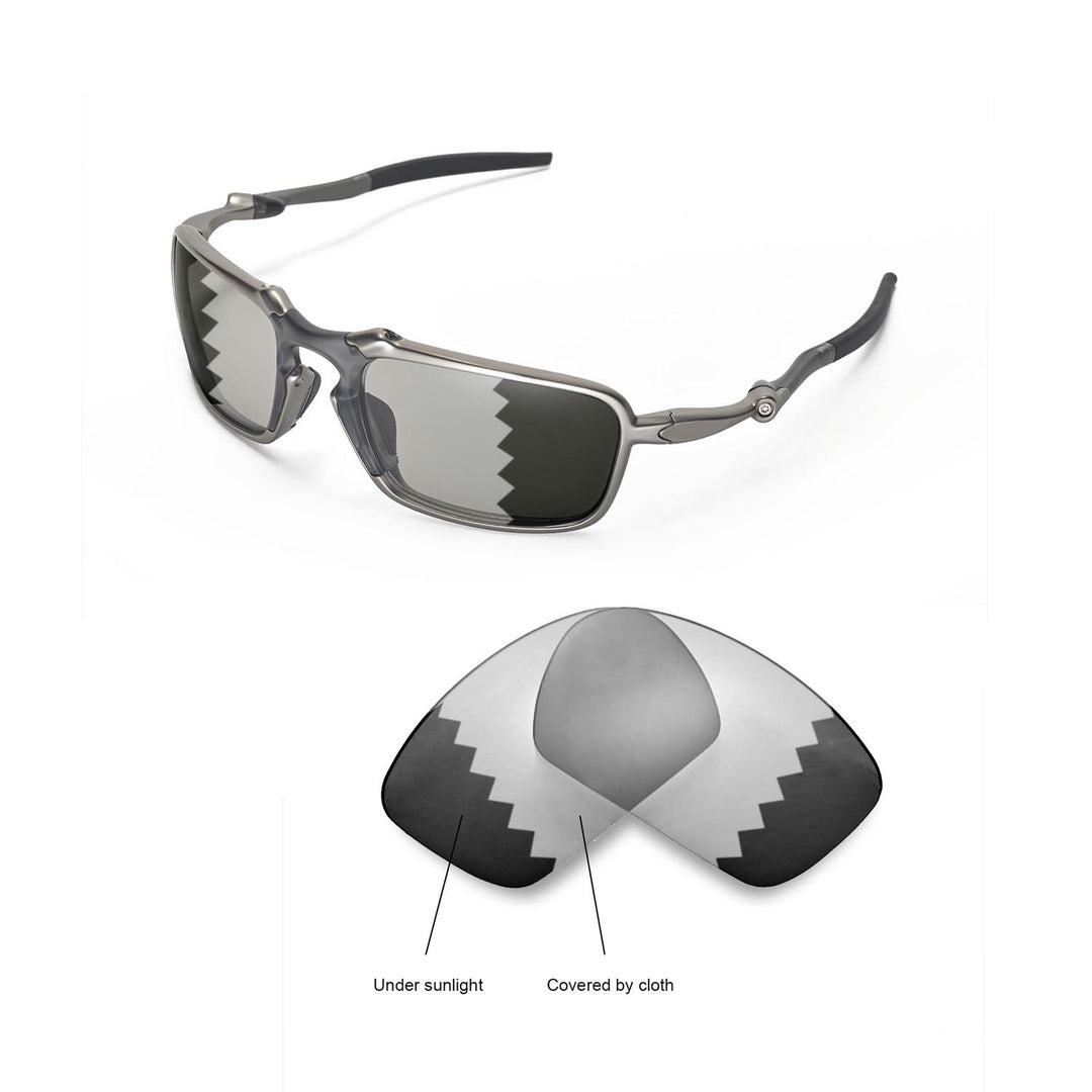 Transition Polarized