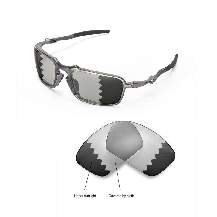 Transition Polarized