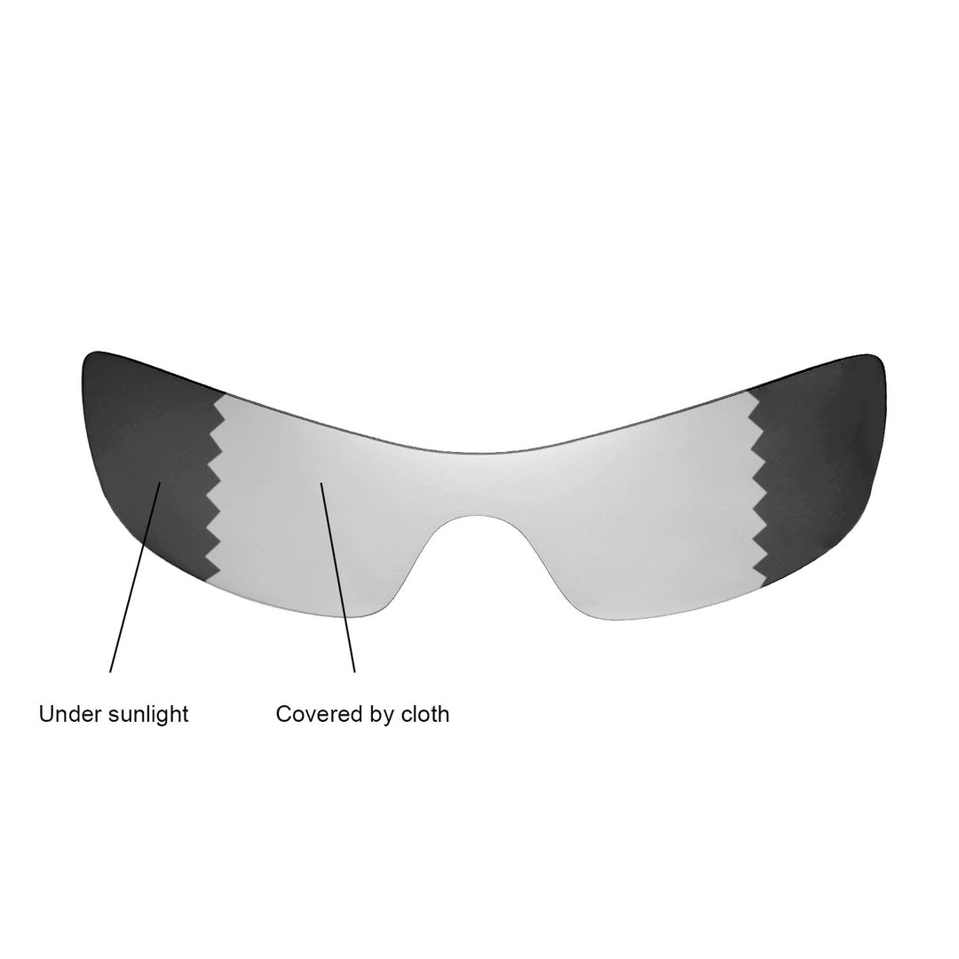 Transition Polarized