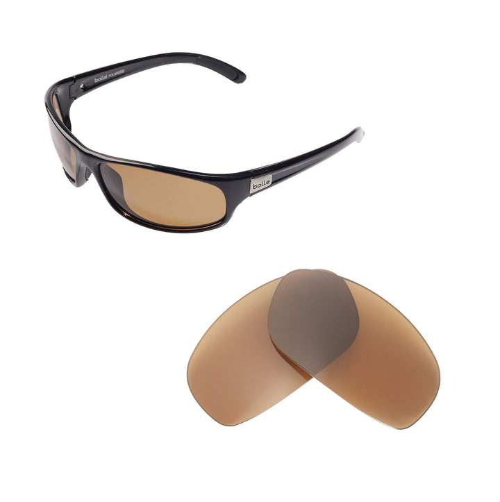 Brown Polarized