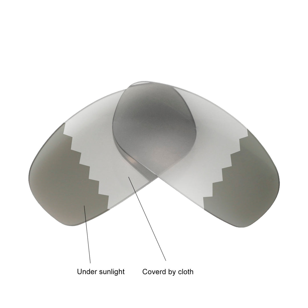 Transition Polarized