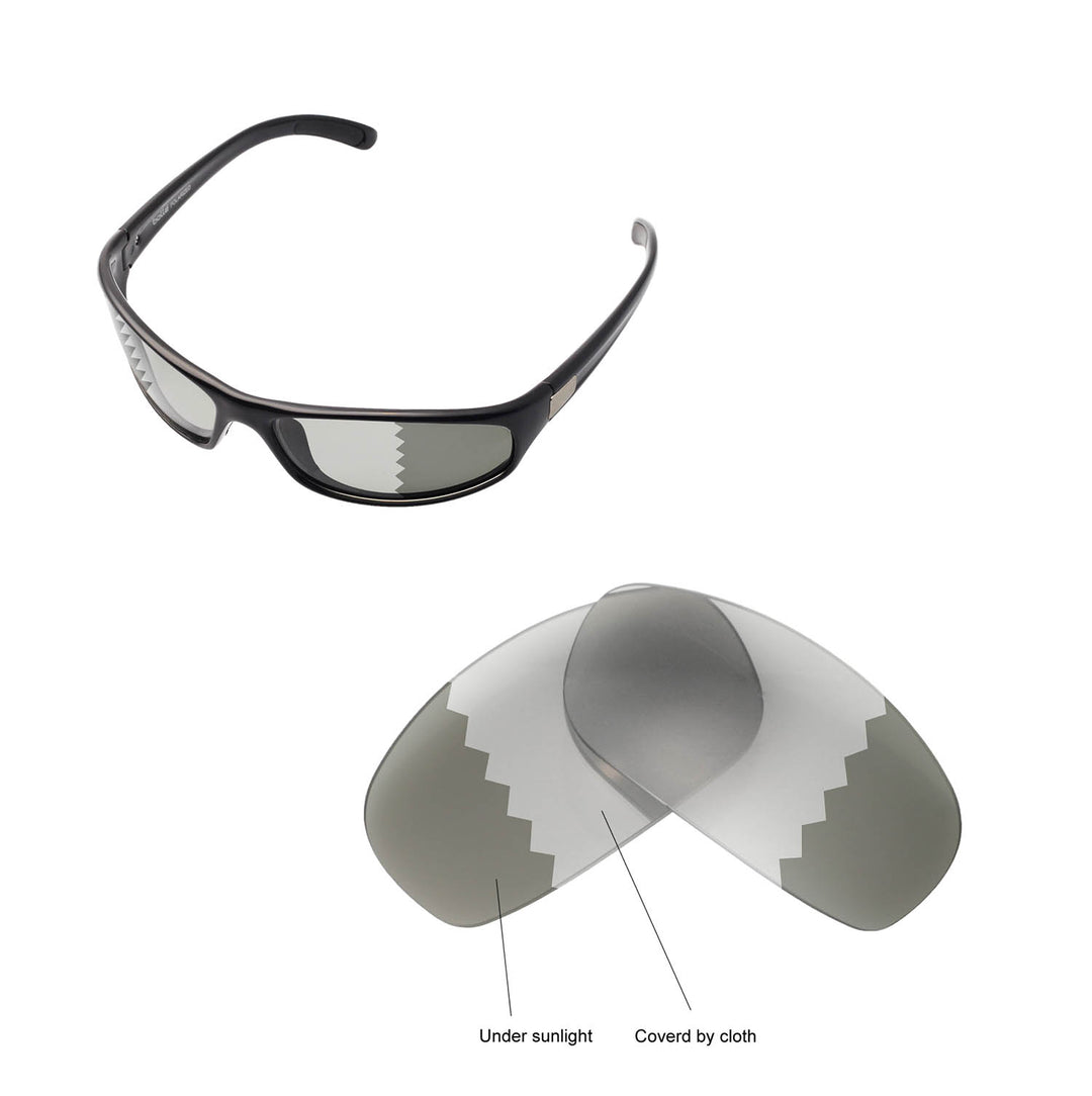 Transition Polarized