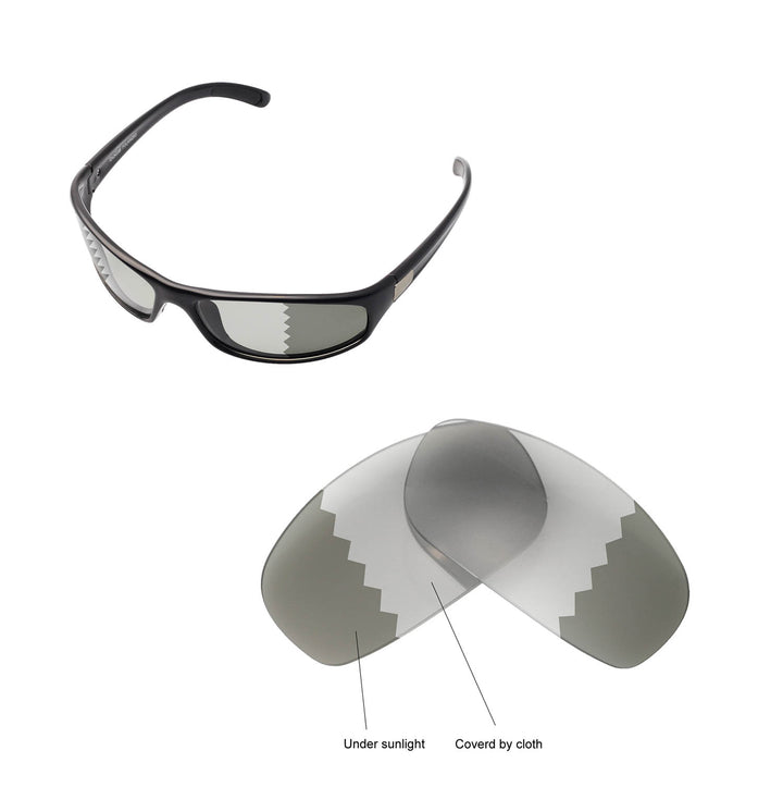 Transition Polarized