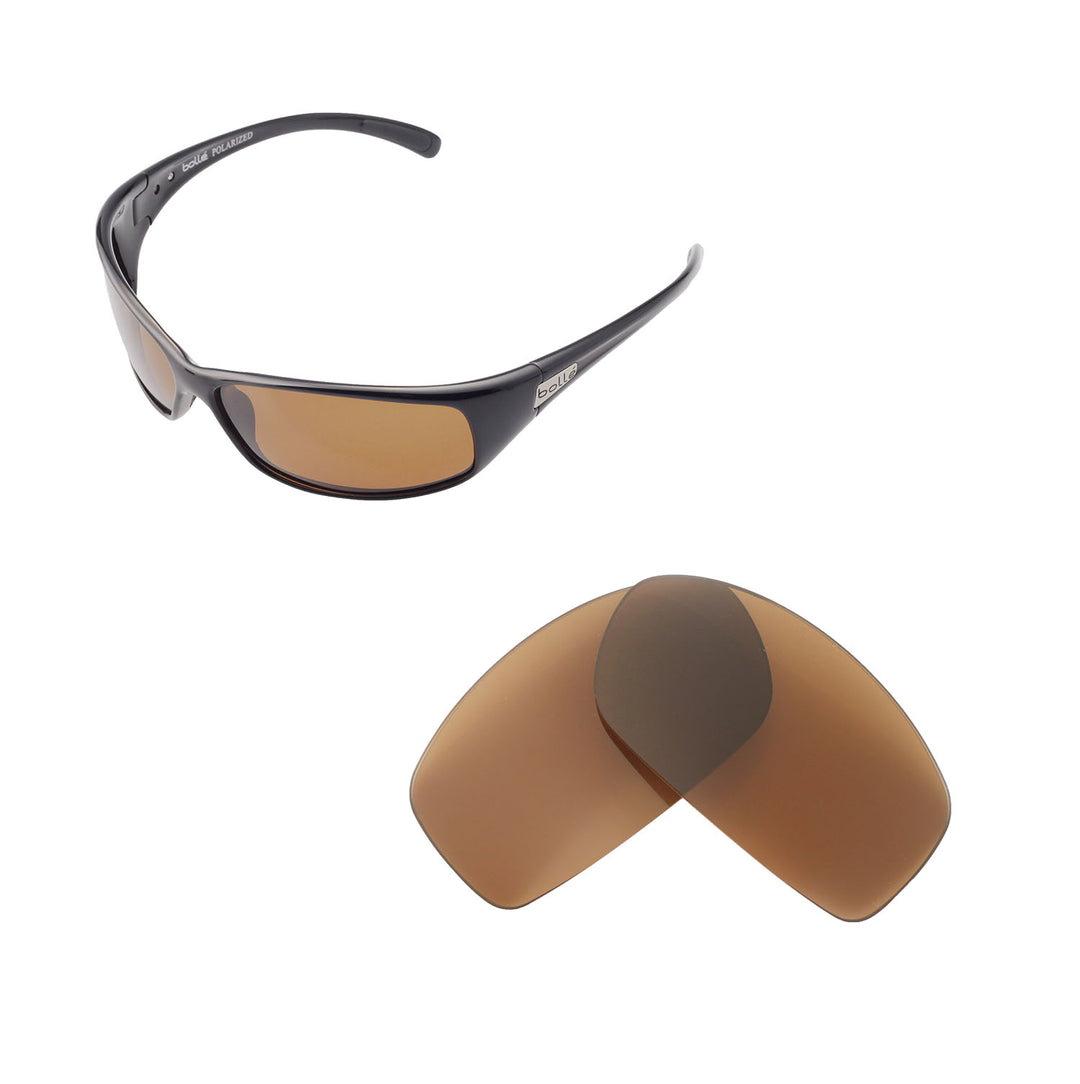 Brown Polarized