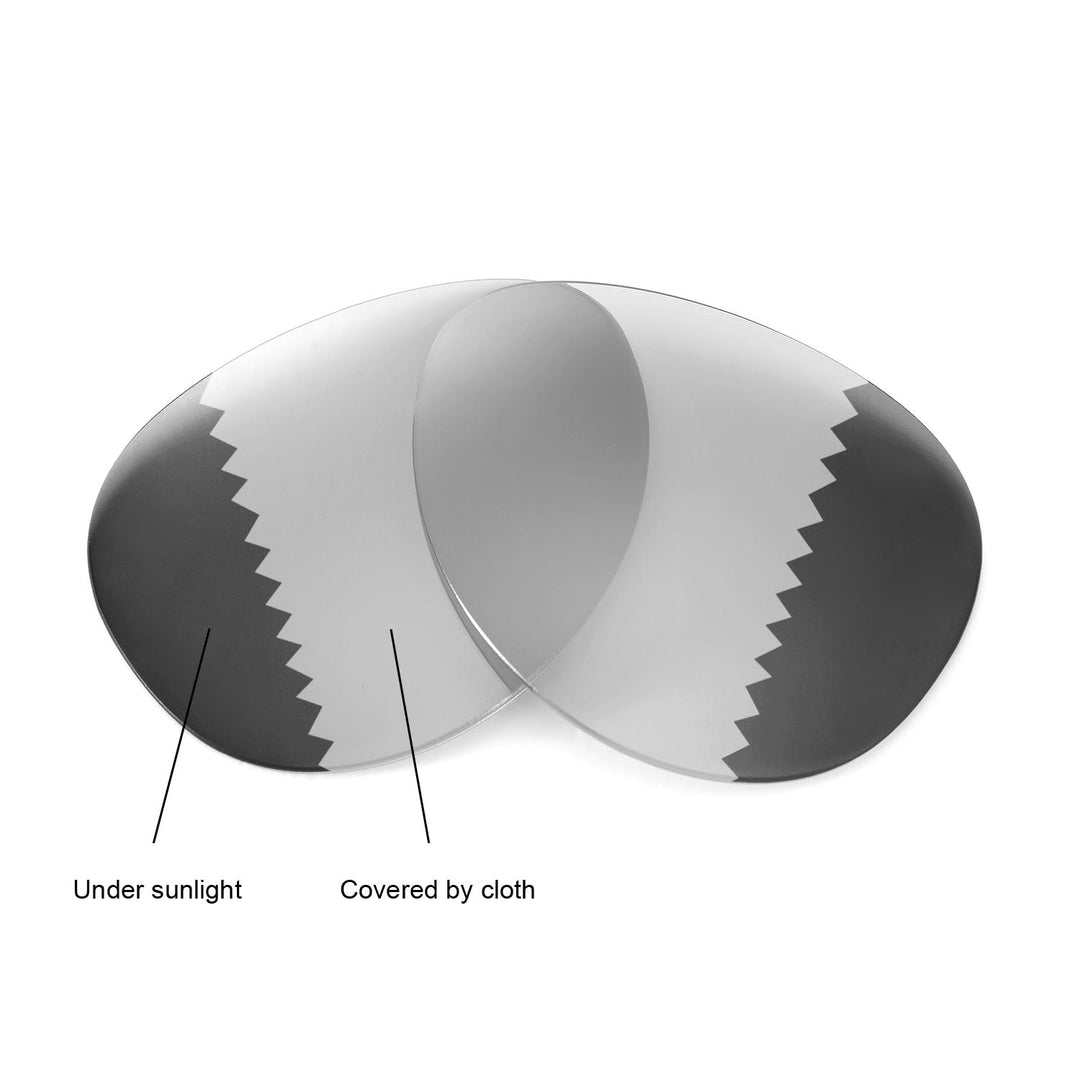 Transition Polarized