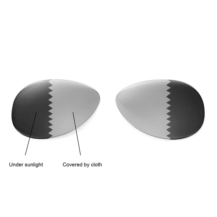 Transition Polarized