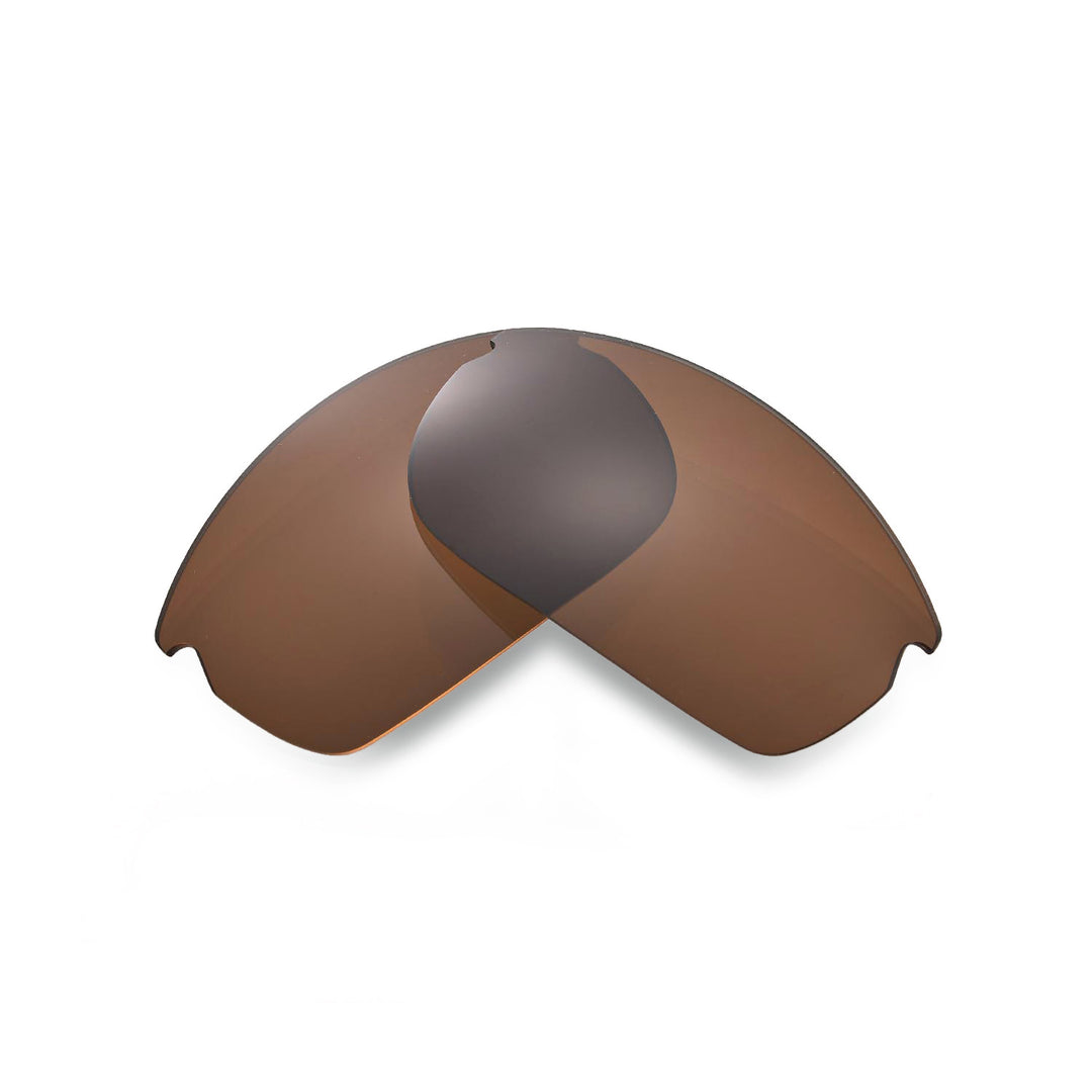 Brown Polarized