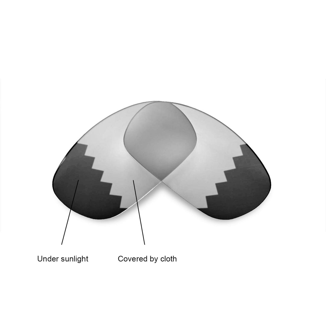 Transition Polarized