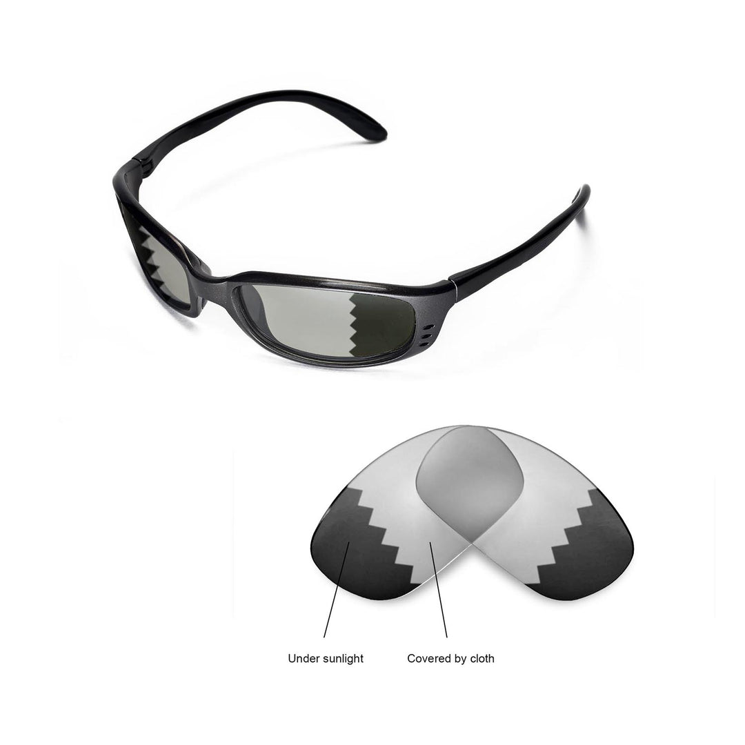 Transition Polarized