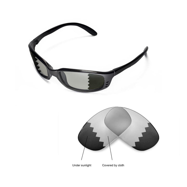Transition Polarized