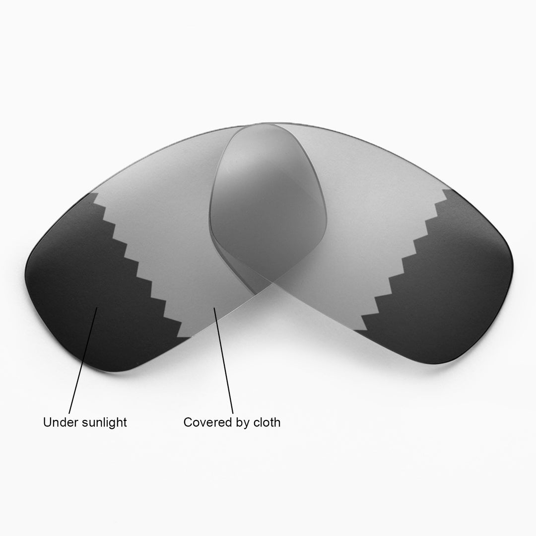 Transition Polarized