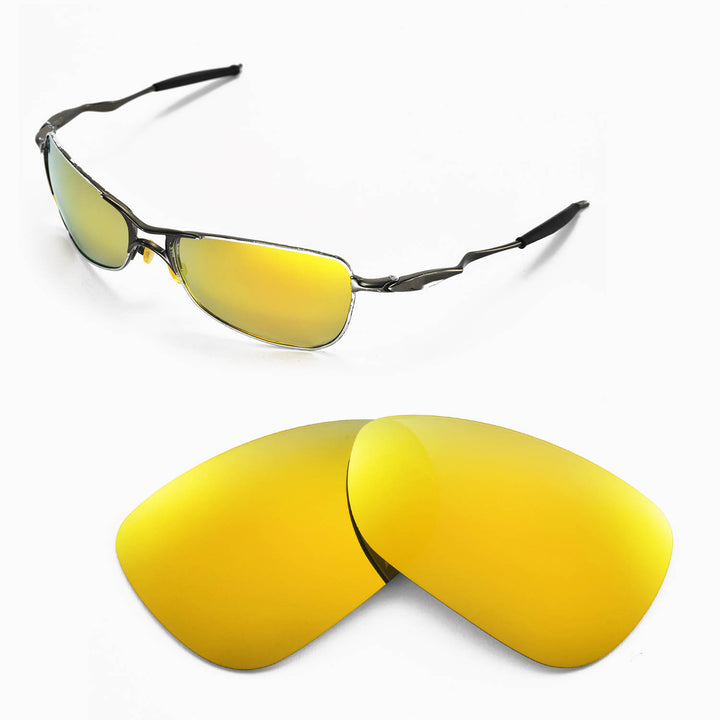 24K Gold Polarized
