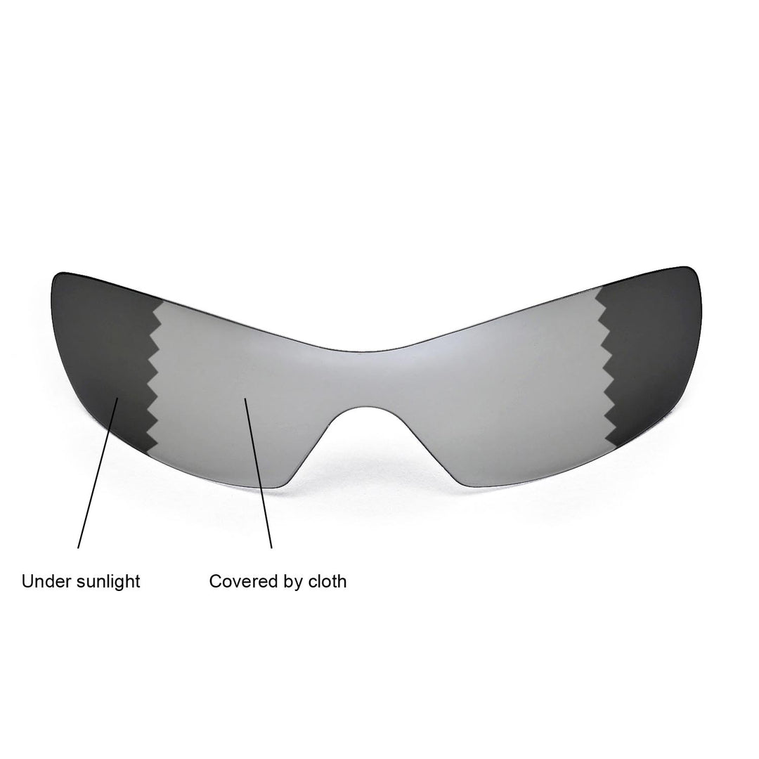 Transition Polarized