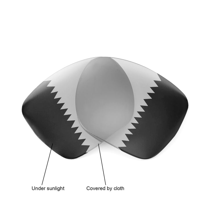Transition Polarized