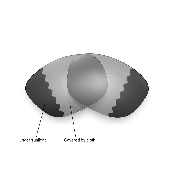 Transition Polarized