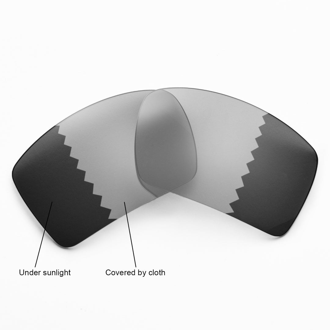 Transition Polarized
