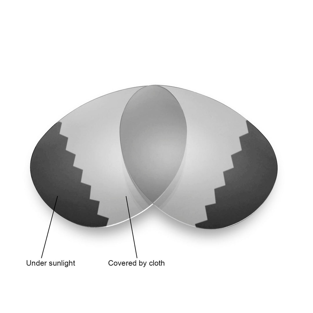 Transition Polarized