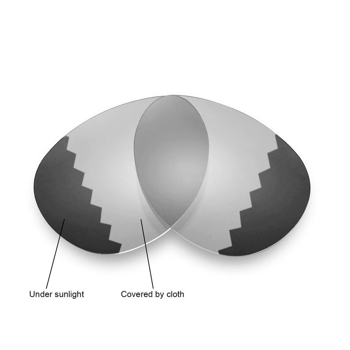 Transition Polarized