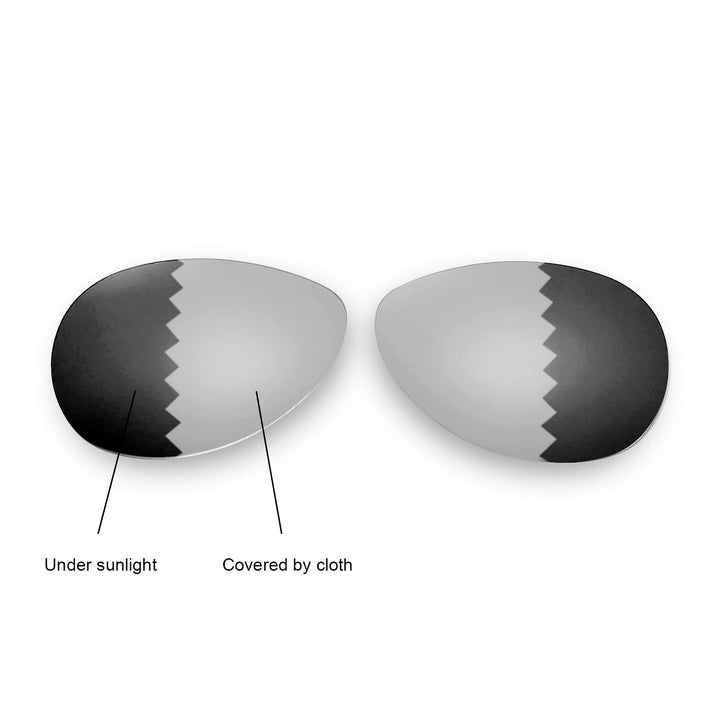 Transition Polarized