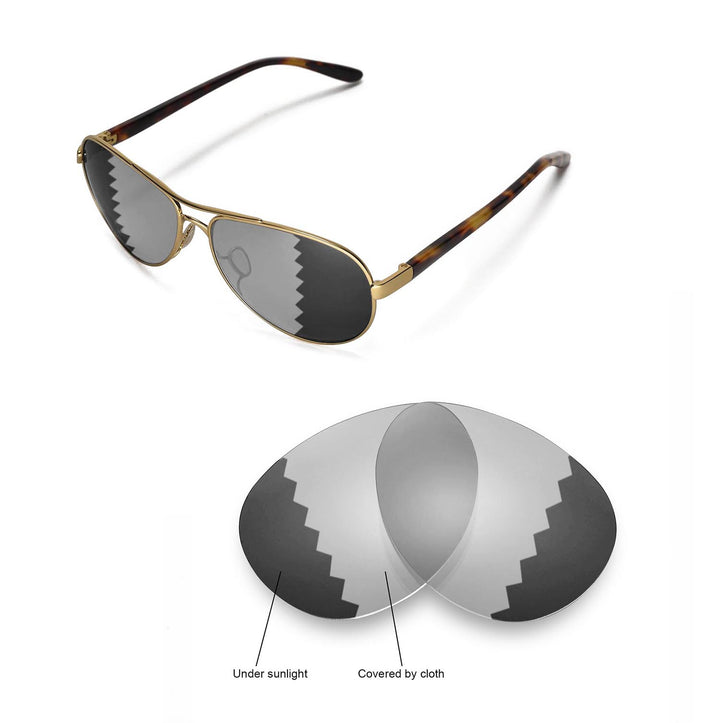 Transition Polarized