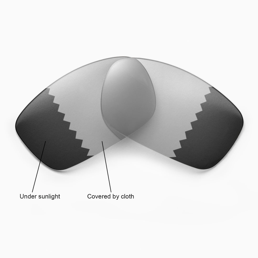 Transition Polarized
