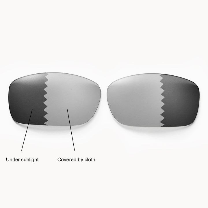 Transition Polarized