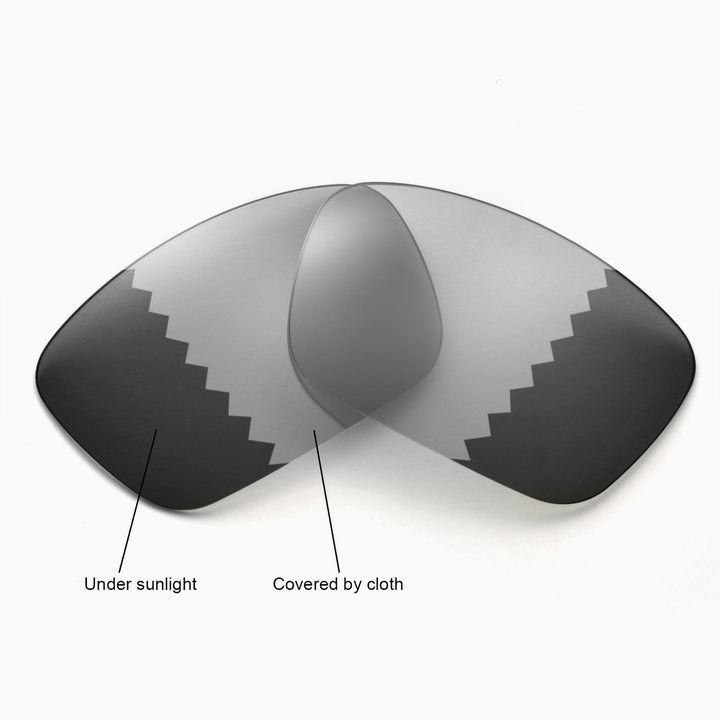 Transition Polarized