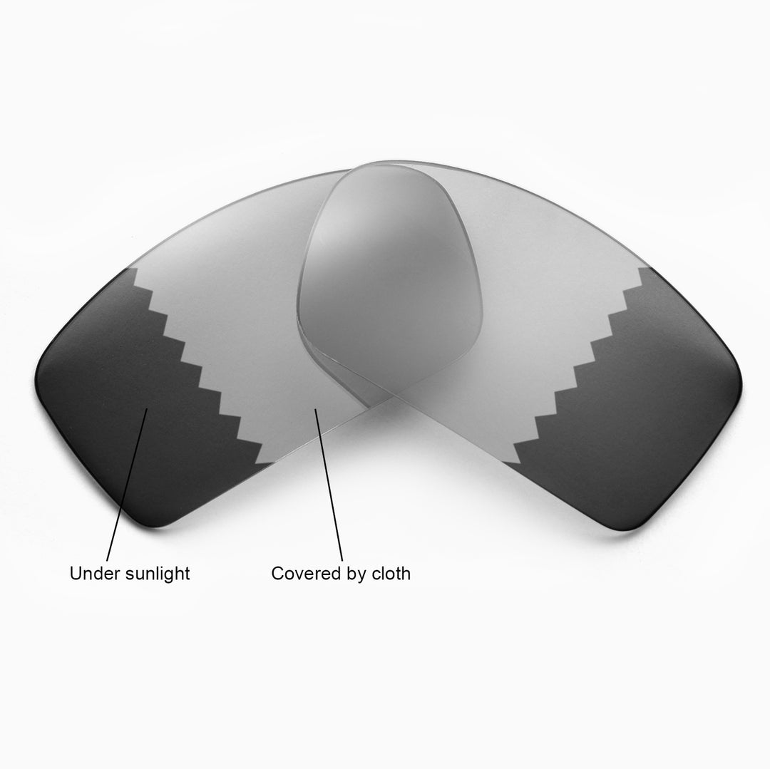Transition Polarized