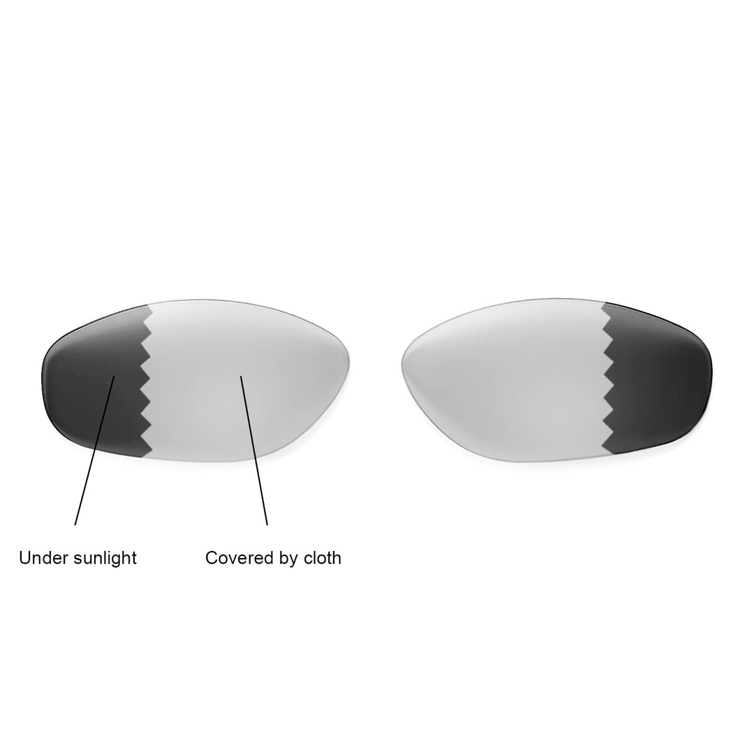Transition Polarized