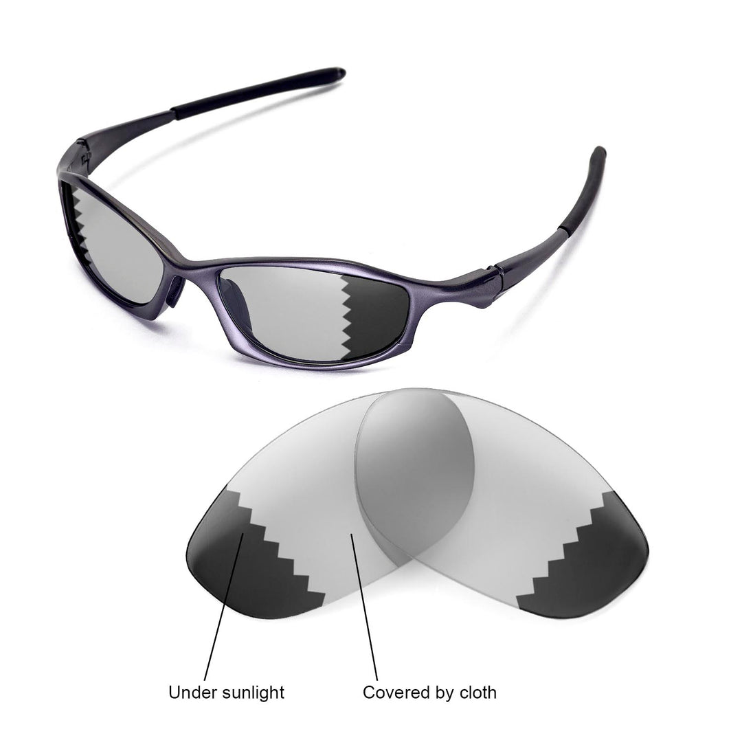 Transition Polarized