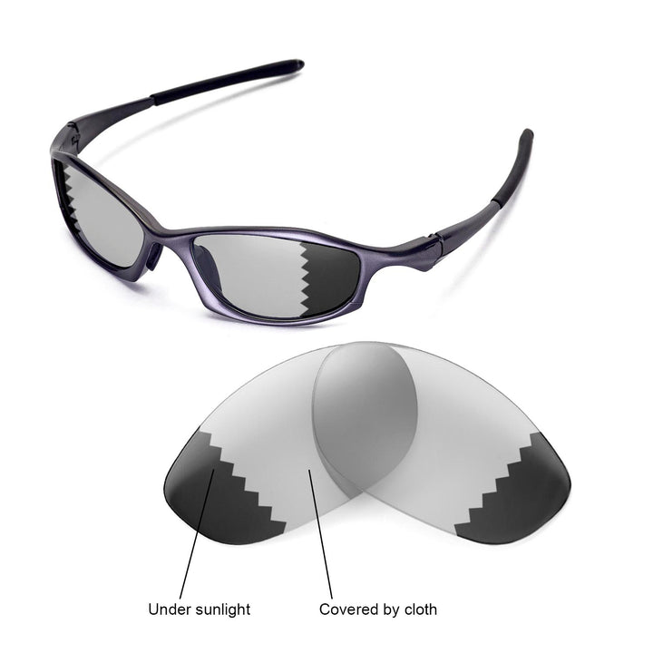 Transition Polarized