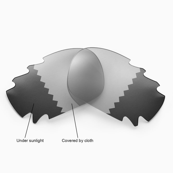 Transition Polarized