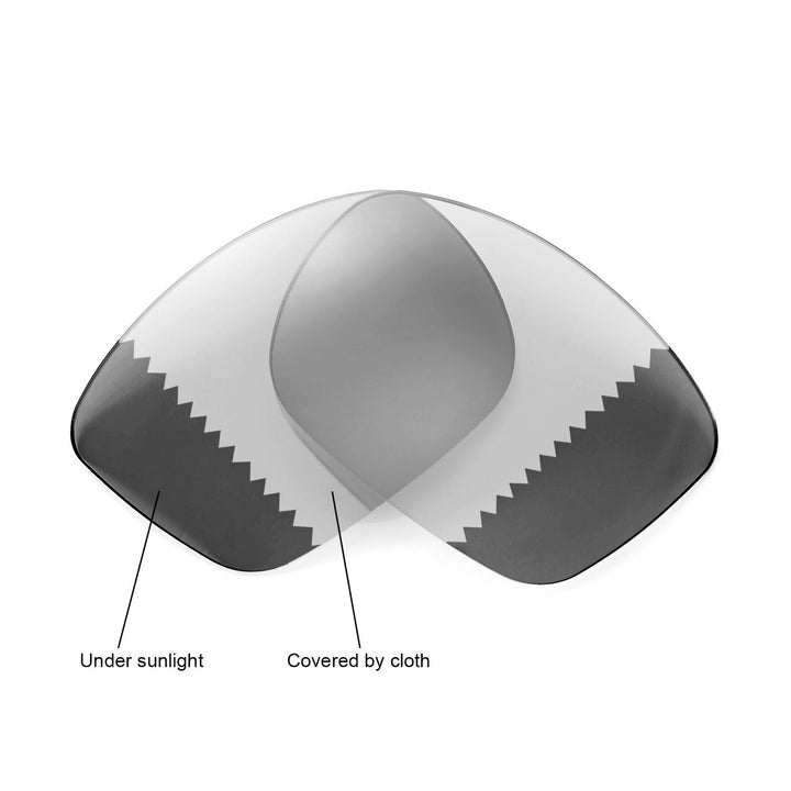 Transition Polarized