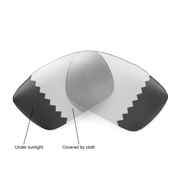 Transition Polarized