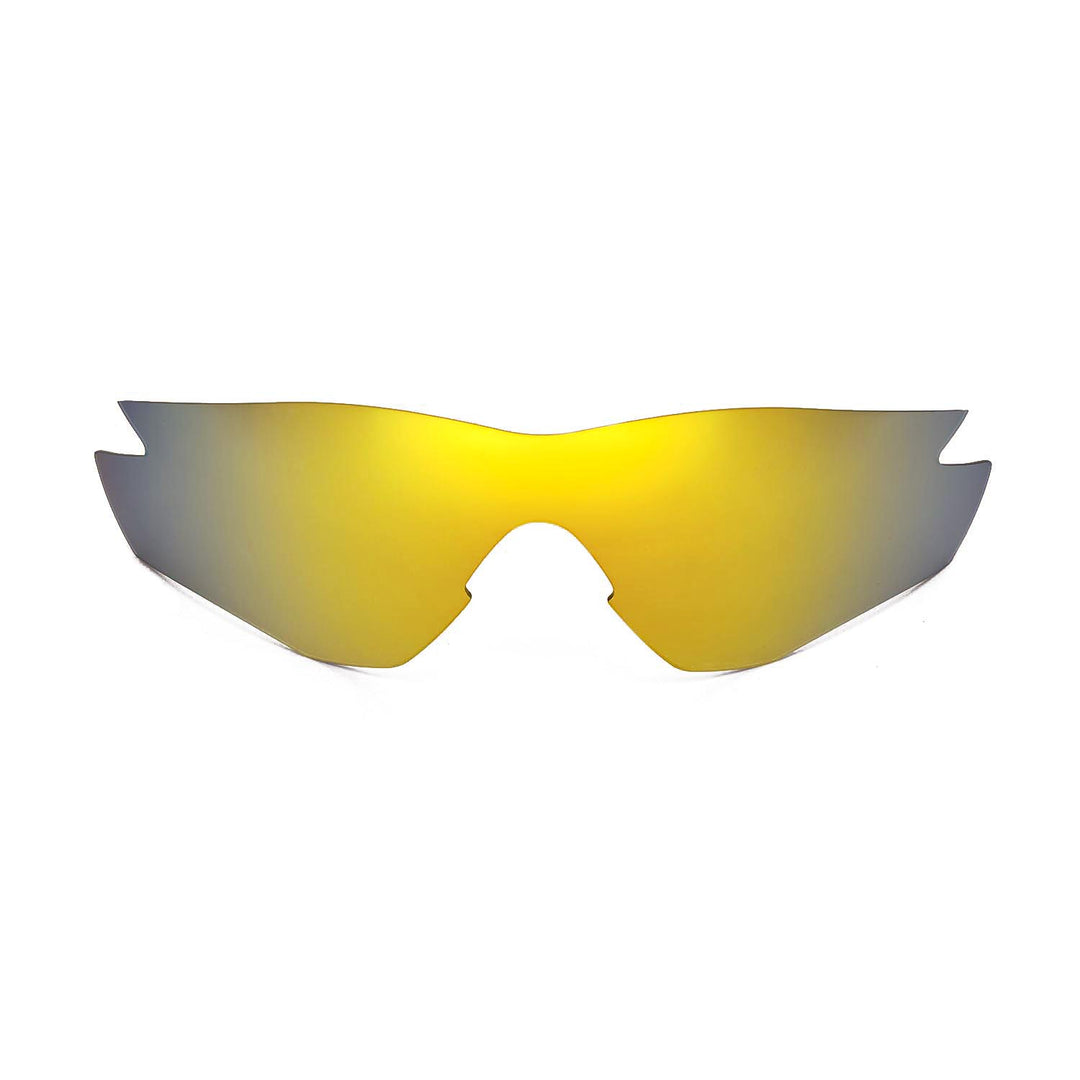 24K Gold Polarized
