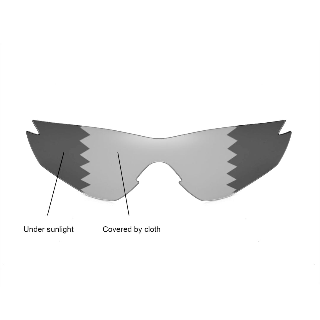 Transition Polarized