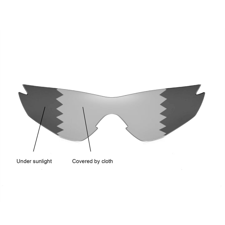 Transition Polarized