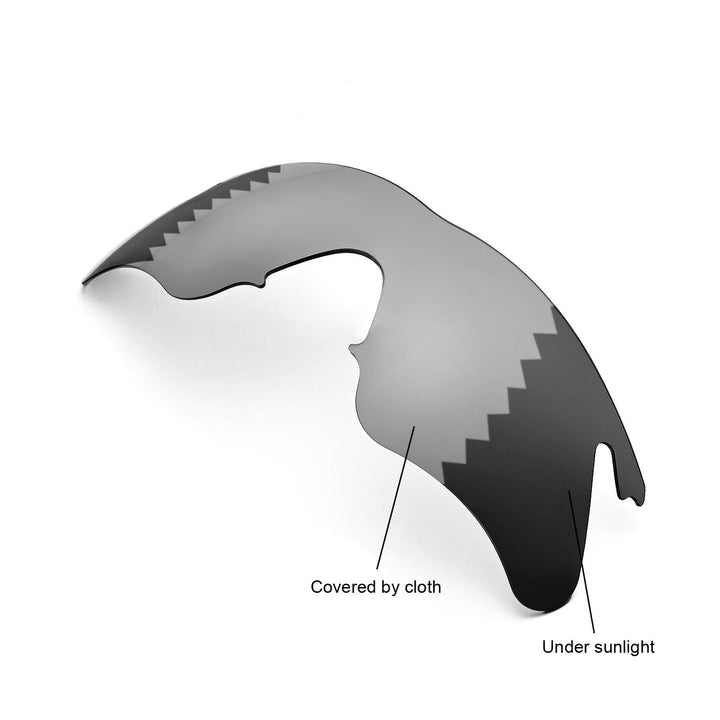 Transition Polarized
