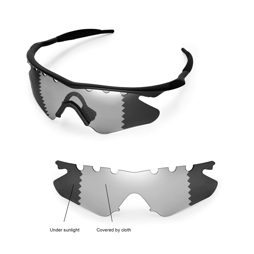 Transition Polarized