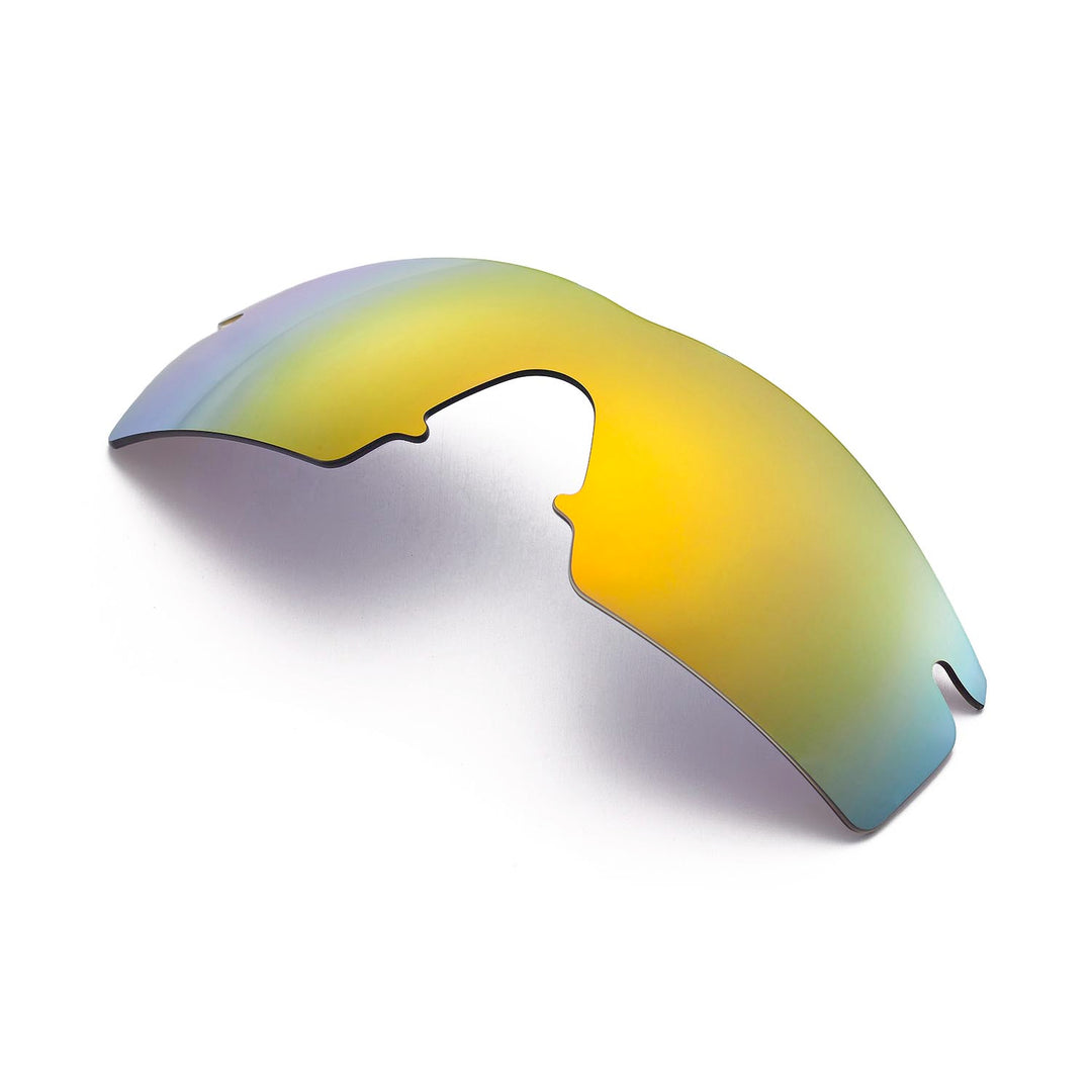 24K Gold Polarized
