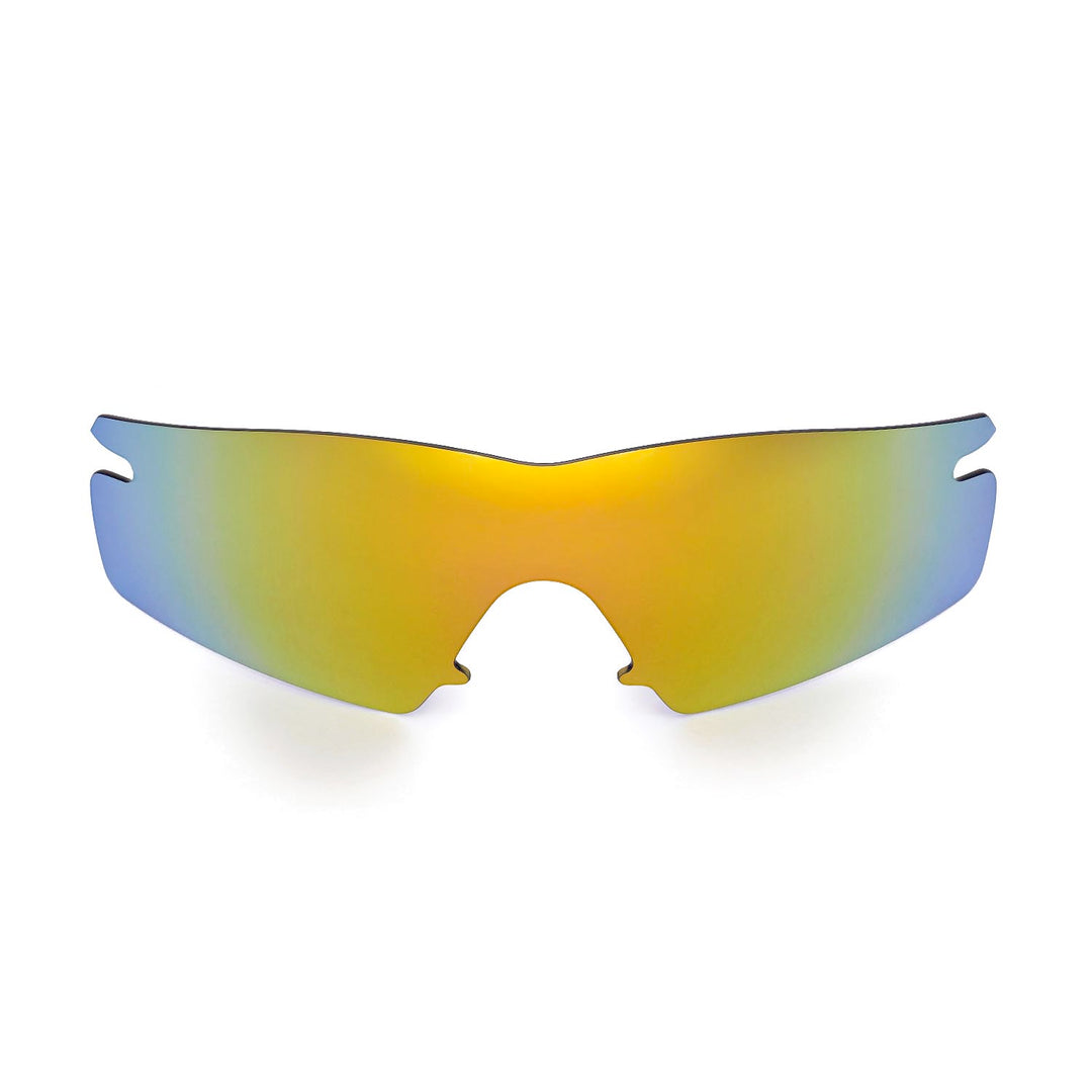 24K Gold Polarized