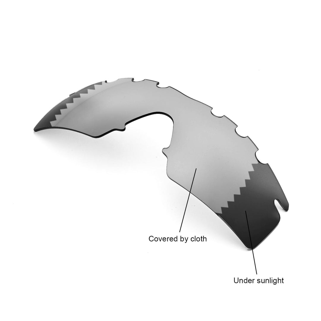 Transition Polarized